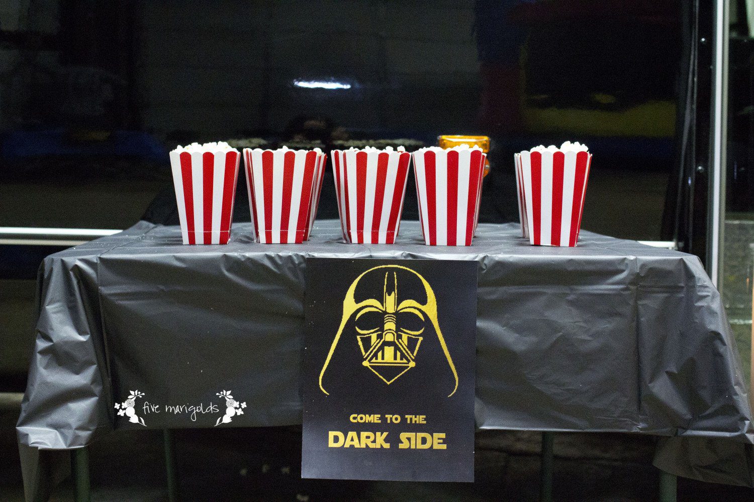 Star Wars Birthday Party Dark Side Movie Theater | www.fivemarigolds.com