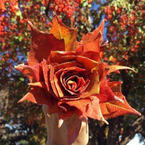 Turn colorful autumn leaves into a rose bouquet - tutorial | Five Marigolds