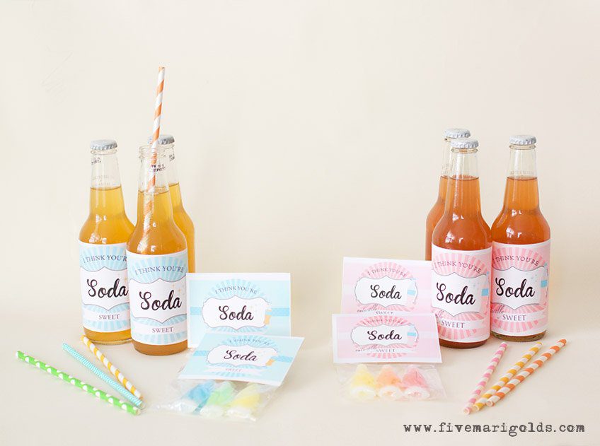 Soda Shoppe Valentine Day Tag and Bottle Wrap Printables | www.fivemarigolds.com