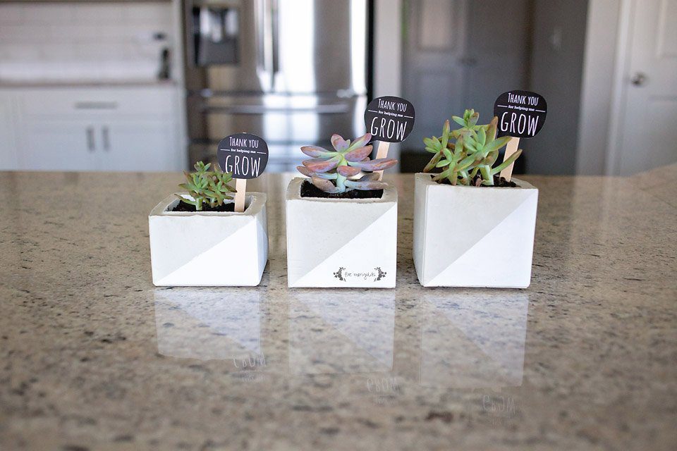 Top 20 best DIY Mother's Day gifts on a budget - cement flower pots