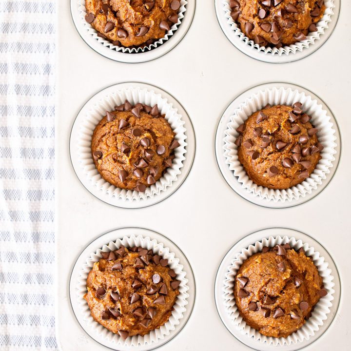 Pumpkin Chocolate Chip Muffins